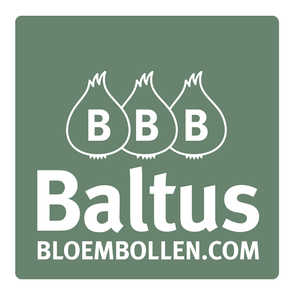 Baltus Bloembollen logo